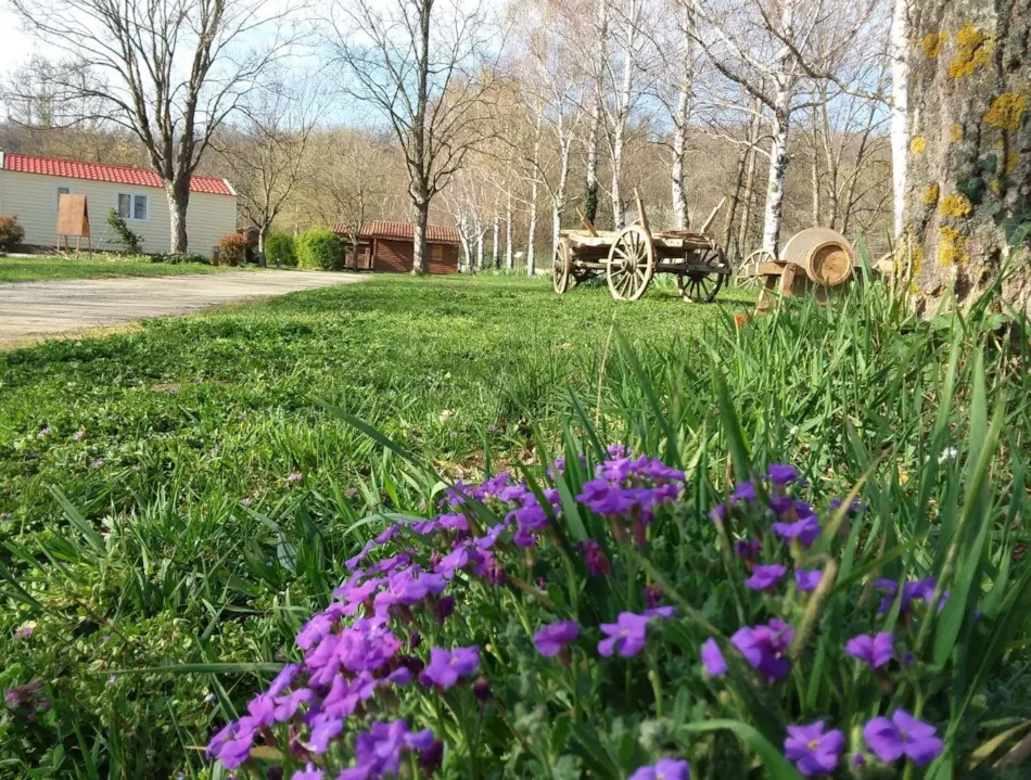 Camping Le Pont d'Allagnon