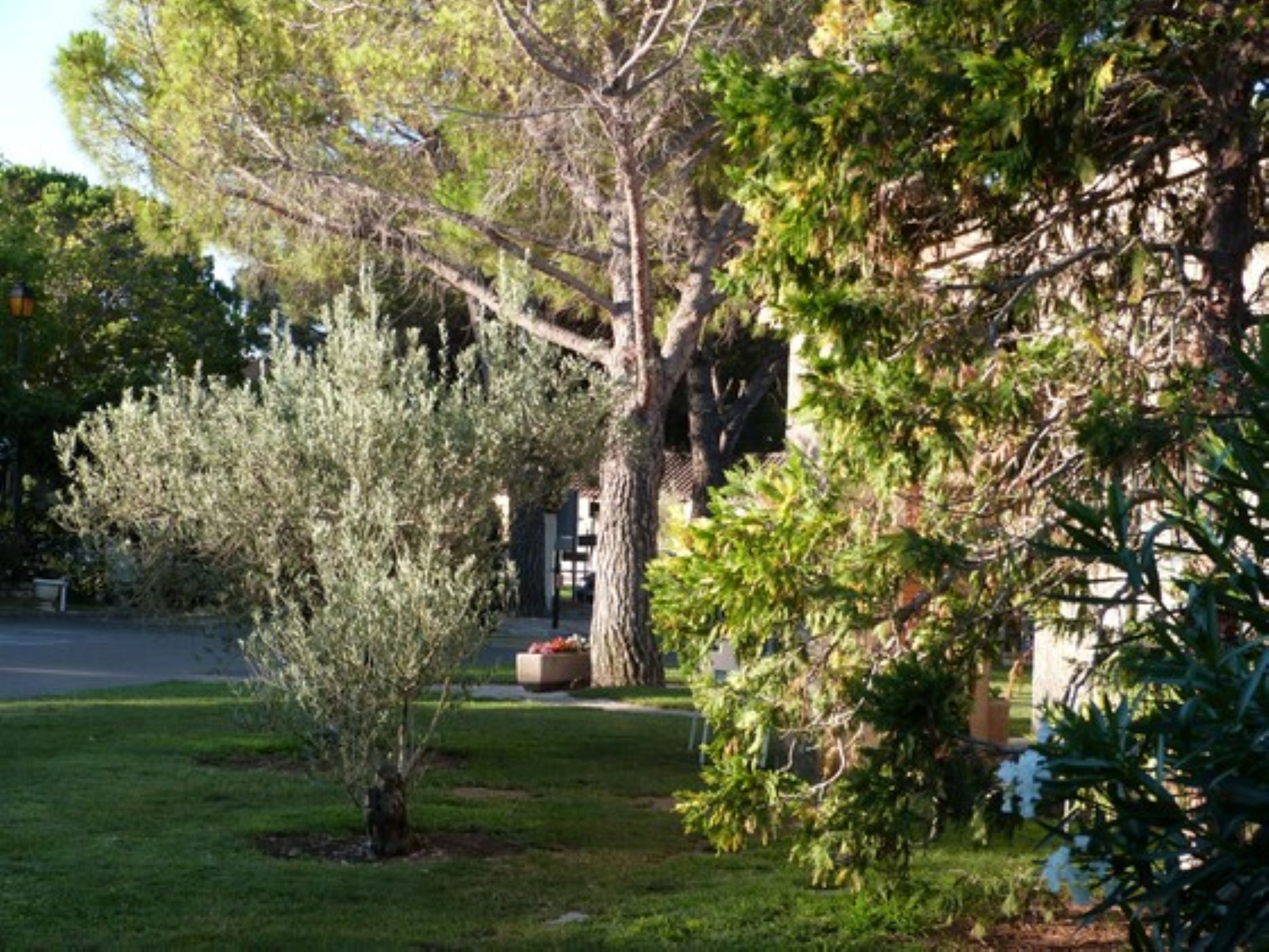 Camping Municipal Les Romarins