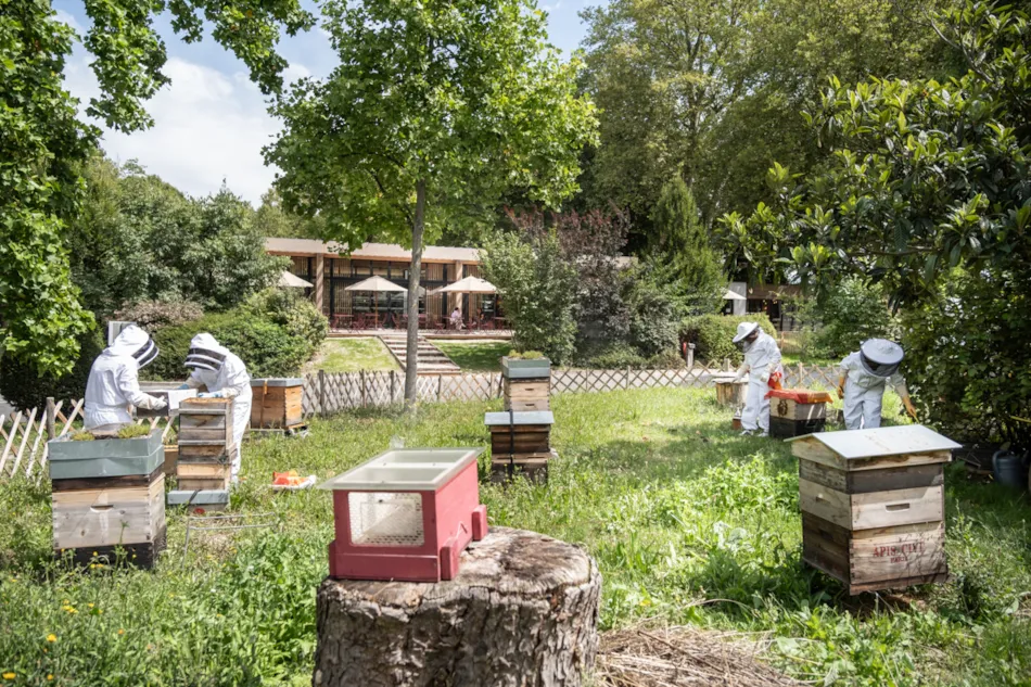 Camping de Paris