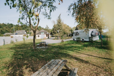 Pitch tent