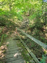 Foto #19 van Donau Camping Marbach