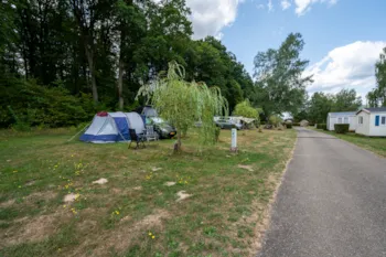 Stellplatz - Nature Forface - Stellplatz - Installation - Ohne Strom - Camping Seasonova Les Vosges du Nord