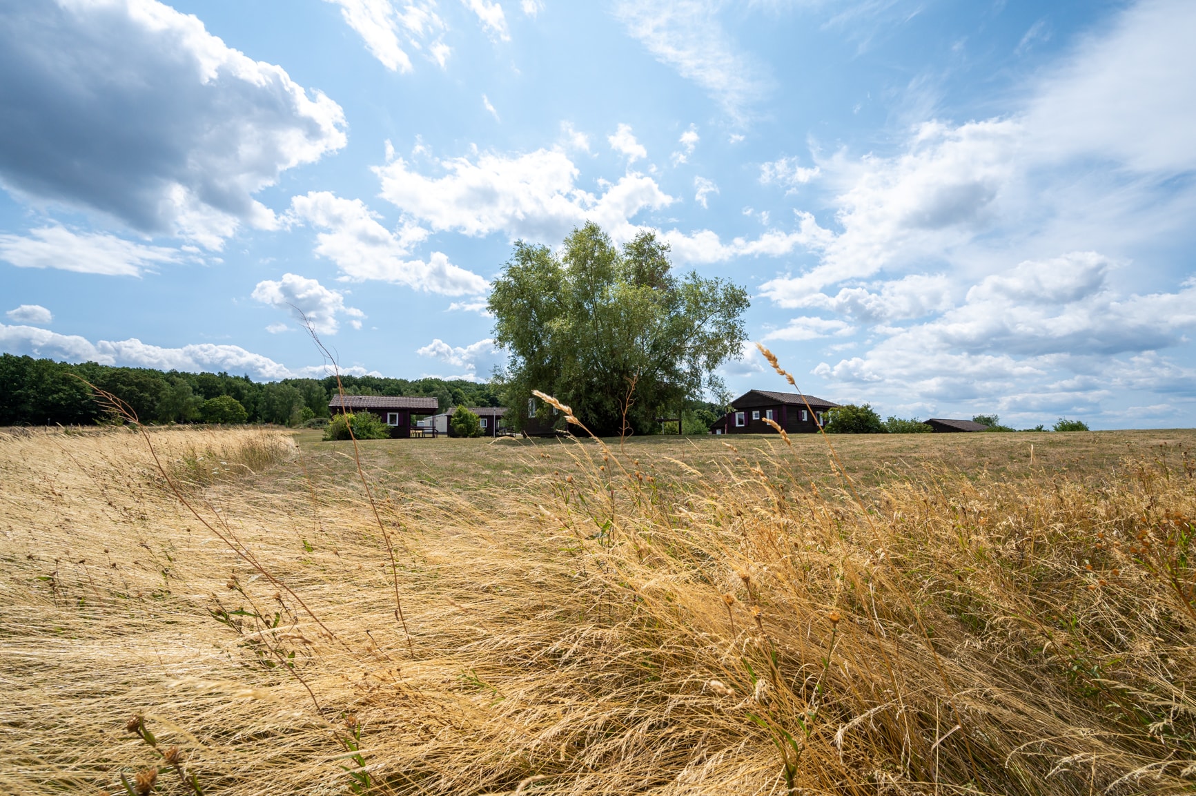 Camping Seasonova Les Vosges du Nord — Foto 10
