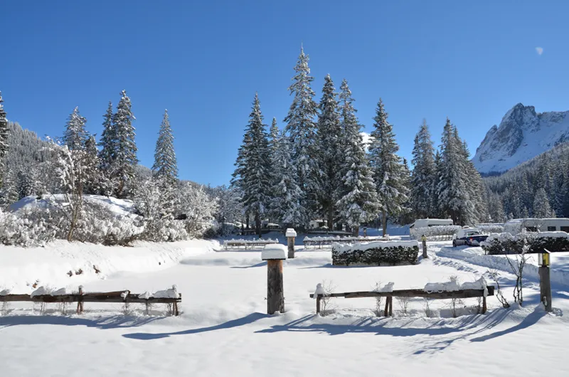 Comfort Pitch: Car+Tent/Caravan Or Motorhome