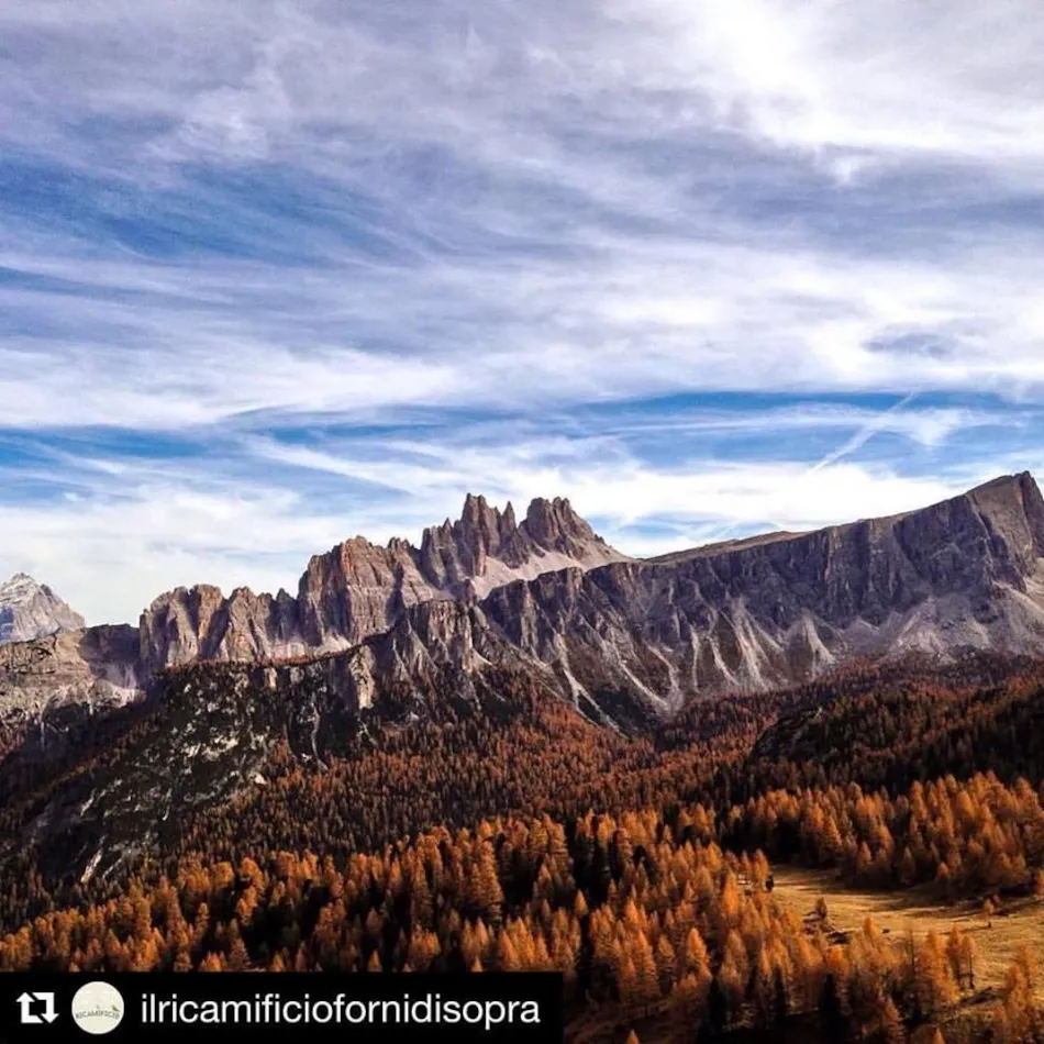 International Camping Olympia