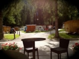 Foto #6 van International Camping Olympia