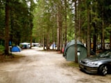 Foto #3 van International Camping Olympia