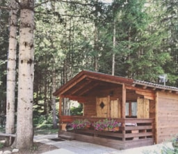 Mietunterkunft - Hütte - International Camping Olympia