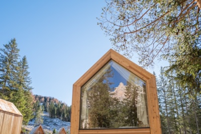 Forest Cabin — 2