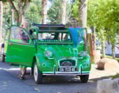 Clico Chic - Soleil Levant