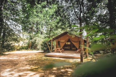 Tent Saadani