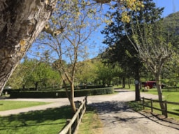 Emplacement - Emplacement + Véhicule - Camping  SAINT MARTIN