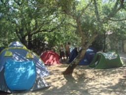 Kampeerplaats(en) - Standplaats Confort + Elektriciteit - Camping Koawa La Buissière