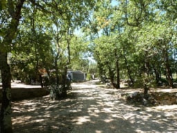 Camping Koawa La Buissière - image n°5 - Roulottes