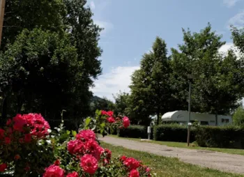 Stellplatz - Stellplatz Strom - Camping ROC DE L'ARCHE