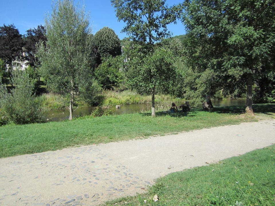 Camping ROC DE L'ARCHE — Photo 2