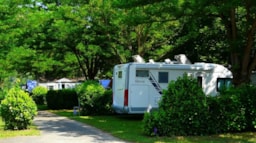 Camping Le Port de Lacombe - image n°9 - Roulottes