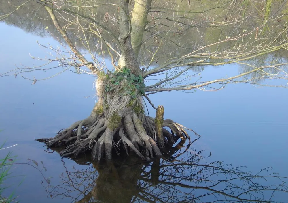 Camping Le Port de Lacombe - image n°78 - UniversalBooking