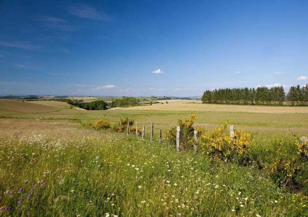 Camping Le Port de Lacombe - image n°74 - UniversalBooking