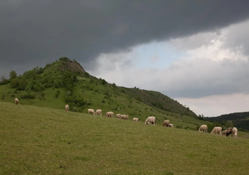 Camping Le Port de Lacombe - image n°63 - UniversalBooking