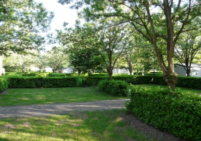 Natural Package (1 tent, caravan or motorhome / 1 car)