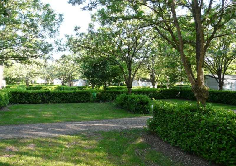 Stellplatz Nature (Zelt, Wohnwagen, Wohnmobil / 1 Auto)