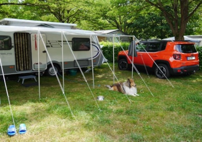 Comfort Package (1 tent, caravan or motorhome / 1 car / electricity 10A)