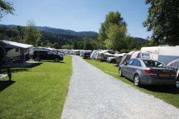 Stellplatz - Stellplatz Orange - FKK Camping Müllerhof