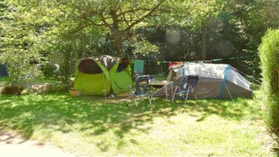 Pitch Confort for Tent, Caravan & Motorhome (with water and electricity)