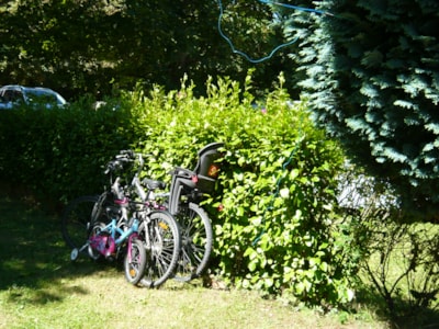 Rando/Cyclo pitch — 2