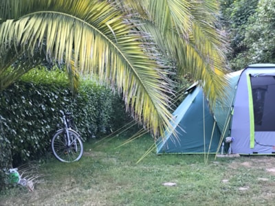 Rando/Cyclo pitch — 4