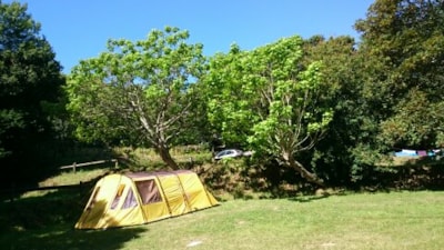 Single location — 4