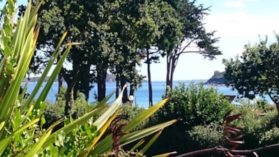 Cottage Pacifique — 2