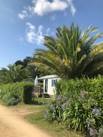 Mietunterkunft - Cottage Pacifique - Domaine de Trestraou