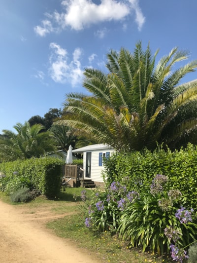 Cottage Pacifique — 1