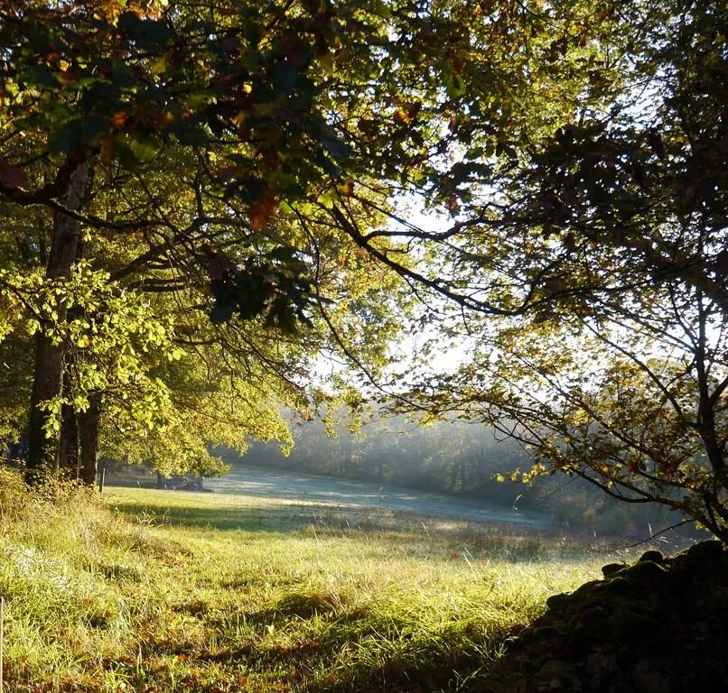 Flower Camping Le Lac aux Oiseaux