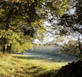 Foto #6 van Flower Camping Le Lac aux Oiseaux