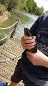 Foto #48 van Flower Camping Le Lac aux Oiseaux