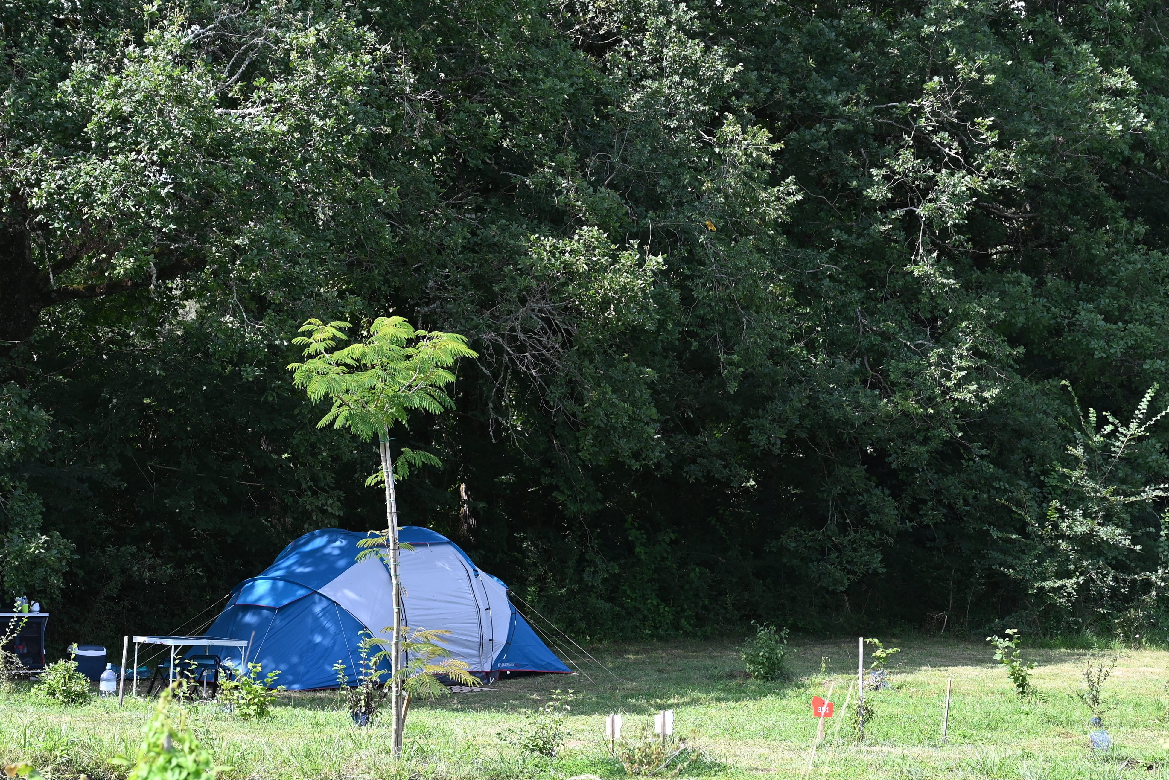 Emplacement - Forfait Nature (1 Tente, Caravane Ou Camping-Car / 1 Voiture) - Flower Camping Lac aux Oiseaux