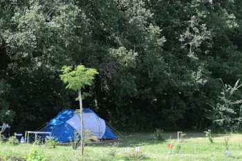 Stellplatz - Stellplatz Nature (Zelt, Wohnwagen, Wohnmobil / 1 Auto) - Flower Camping Le Lac aux Oiseaux