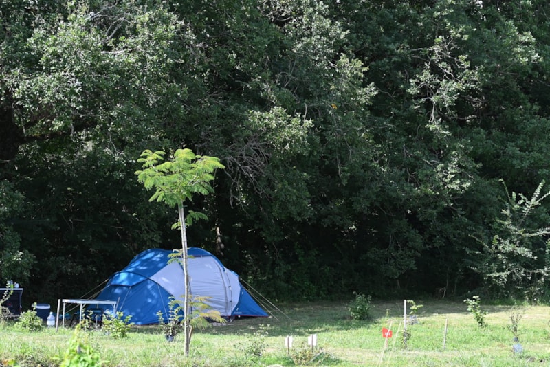 Basisprijs Natuurplaats (1 tent, caravan of camper / 1 auto)
