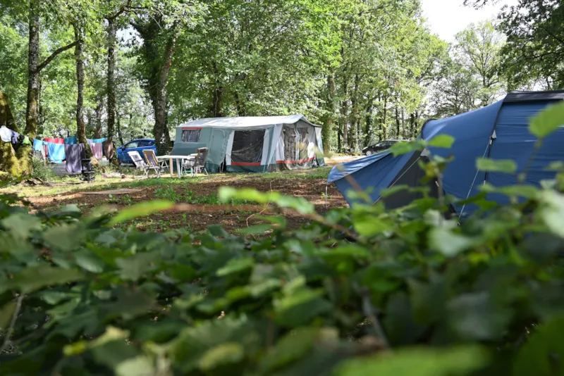Forfait Confort (1 Tente, Caravane Ou Camping-Car / 1 Voiture / Électricité 10A)