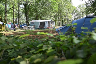 Comfort Package (1 tent, caravan or motorhome / 1 car / electricity 10A)