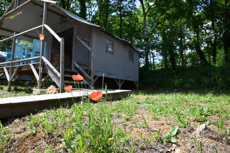 Cabanes Lodges Sur Pilotis Standard 23M² (Sans Sanitaires) (2 Ch- 4 Pers) + Terrasse Couverte