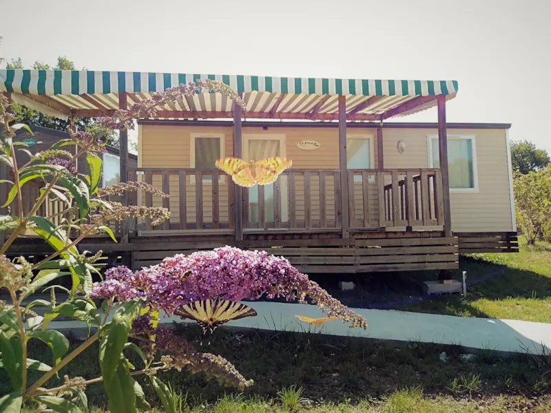 Mobil-Home Standard 30 M² (3 Chambres) + Terrasse Couverte 12M²