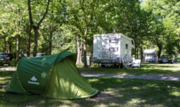 Camping du VIADUC - image n°6 - Roulottes