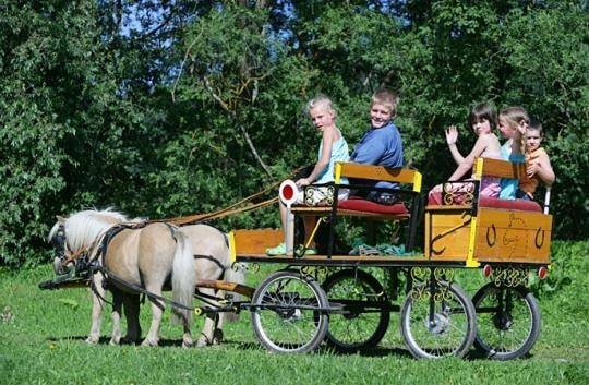 Camping Olachgut — Foto 2