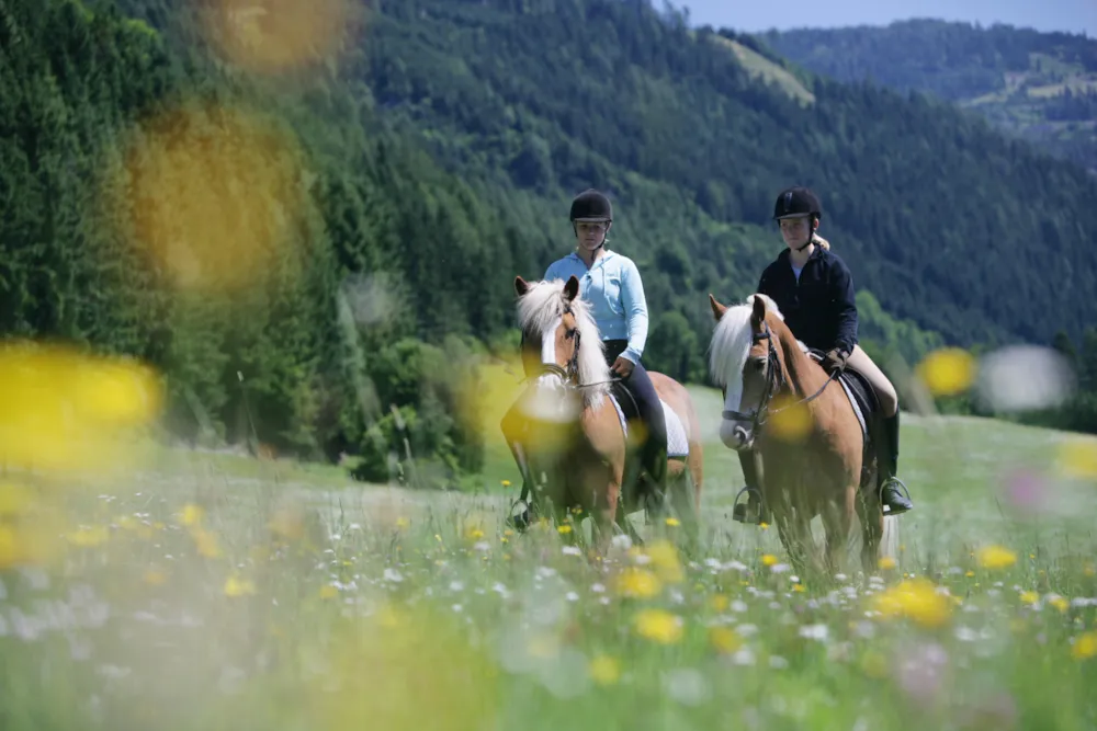 Camping Olachgut - image n°30 - UniversalBooking