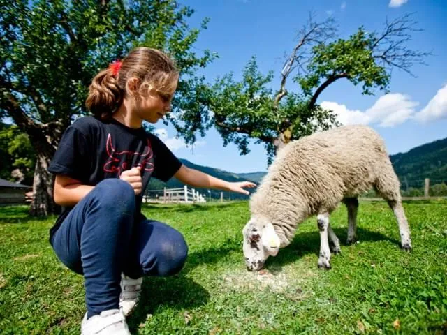 Camping Olachgut - image n°17 - UniversalBooking