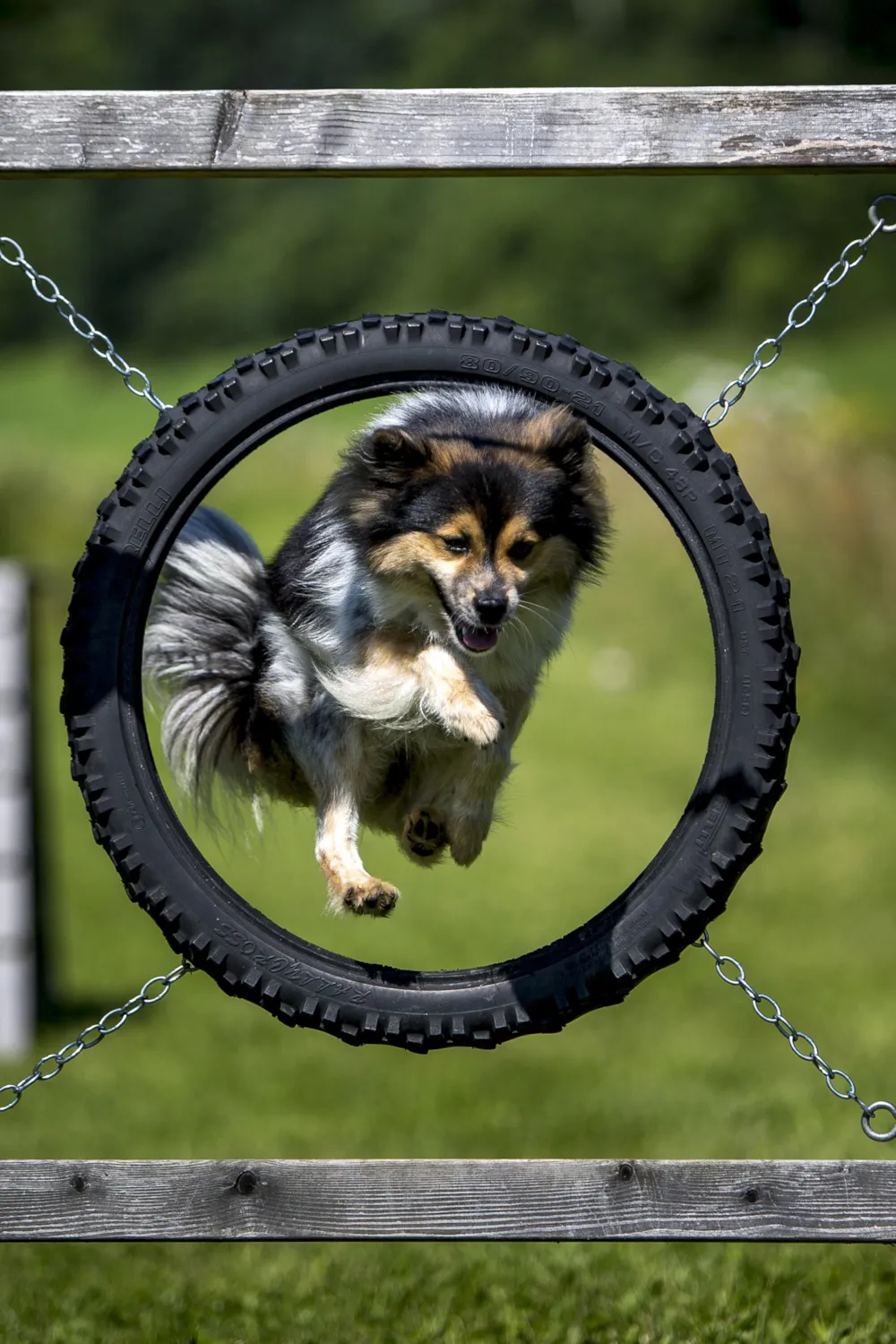 Camping Olachgut - image n°18 - UniversalBooking